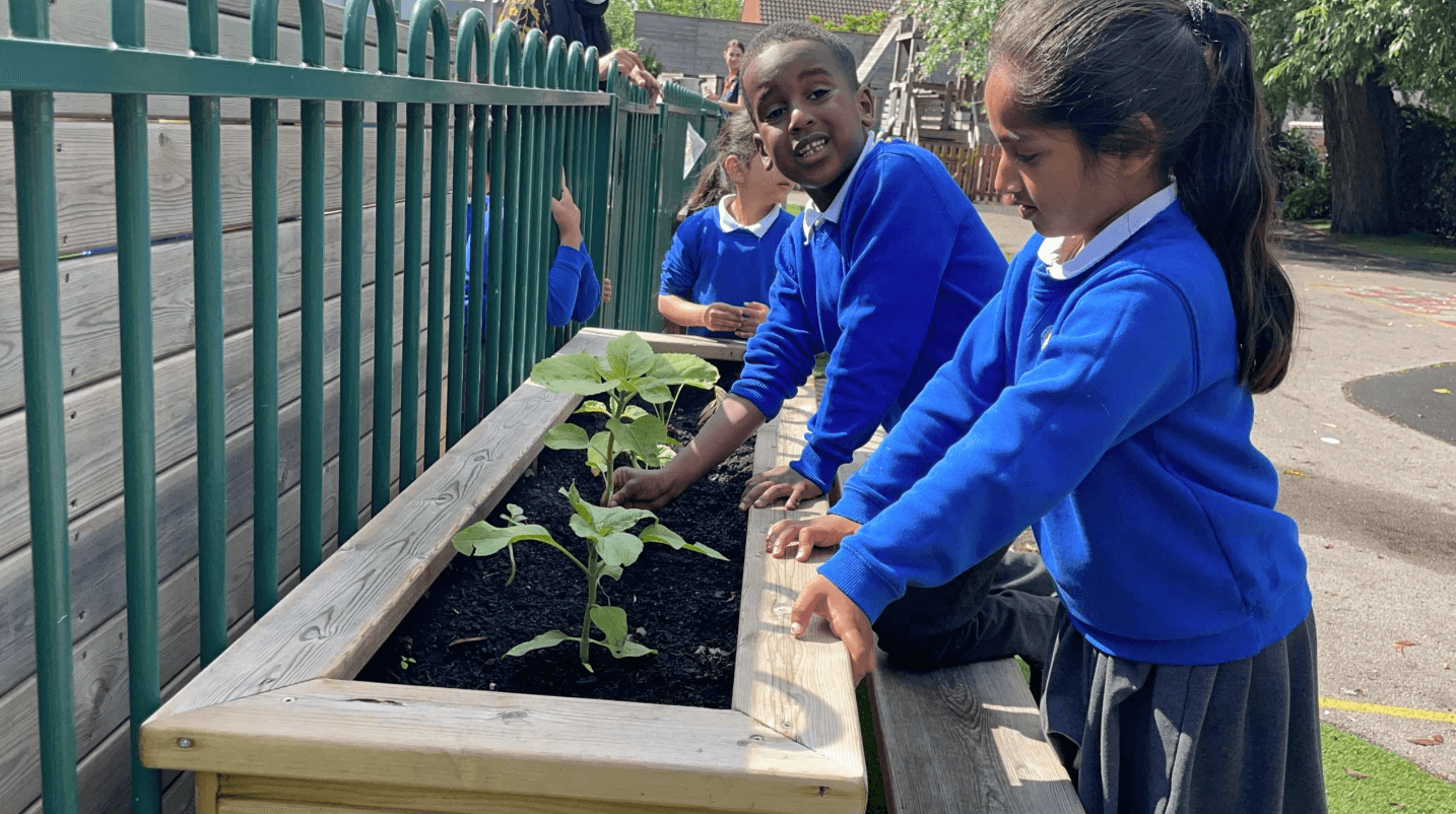 Nature-led playground equipment for outdoor learning